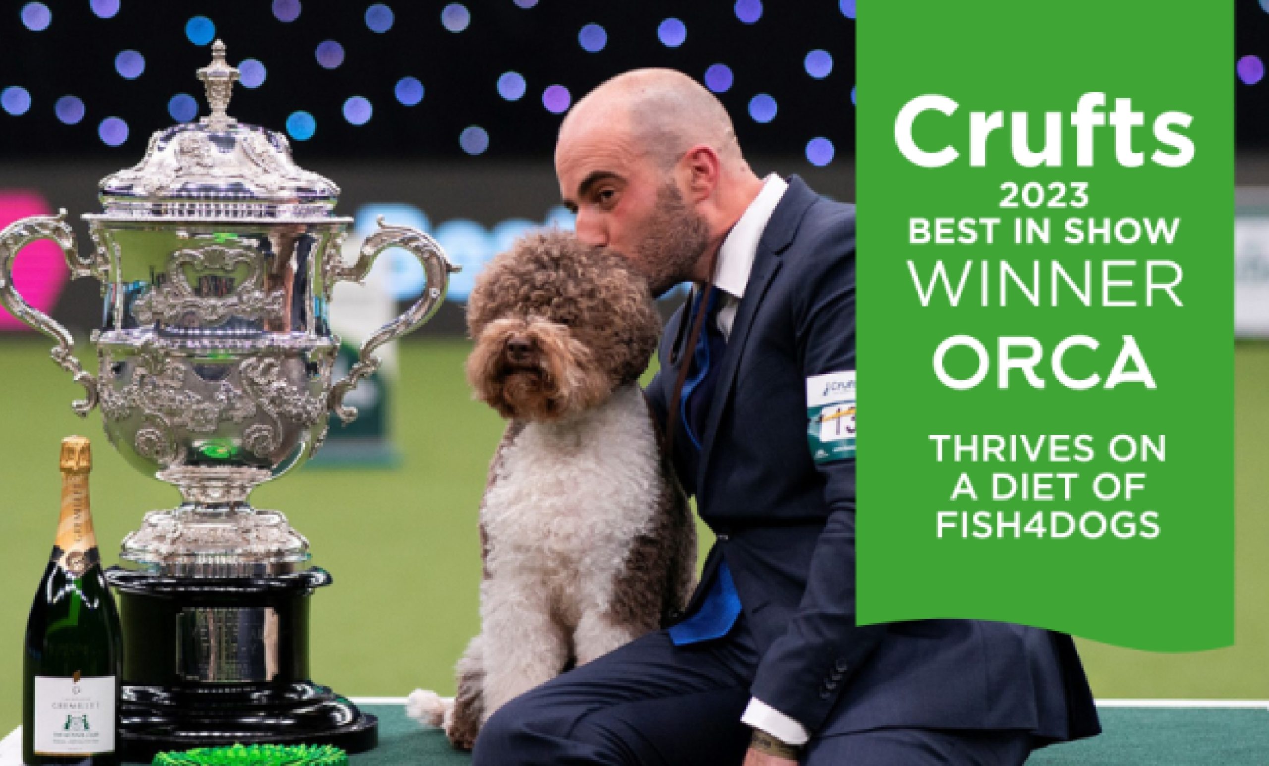 世界三大ドッグショーのひとつ「Crufts」を知っていますか？